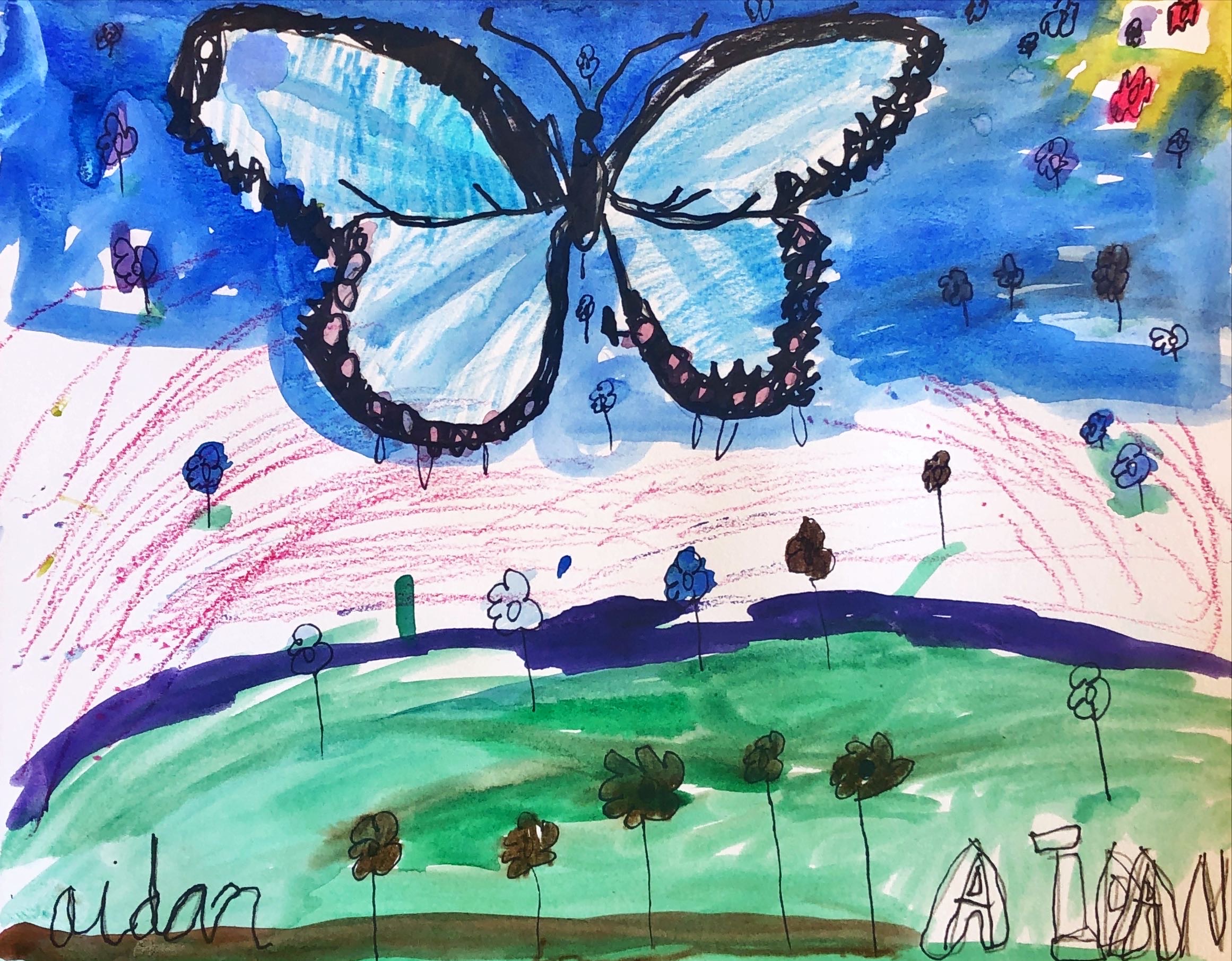 Grade 1 Scientific Butterfly Art