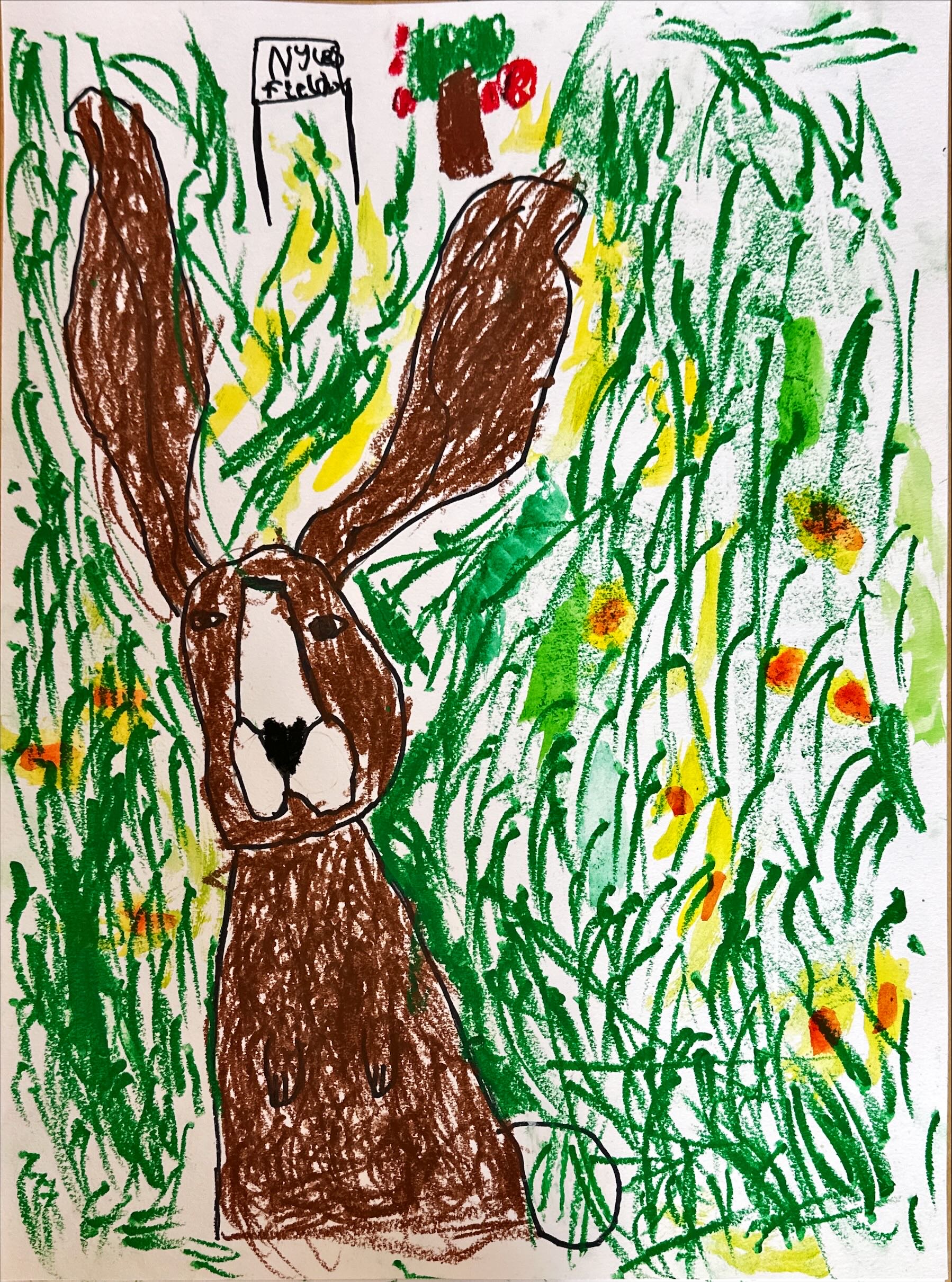 Grade One Bunny In a Meadow Art