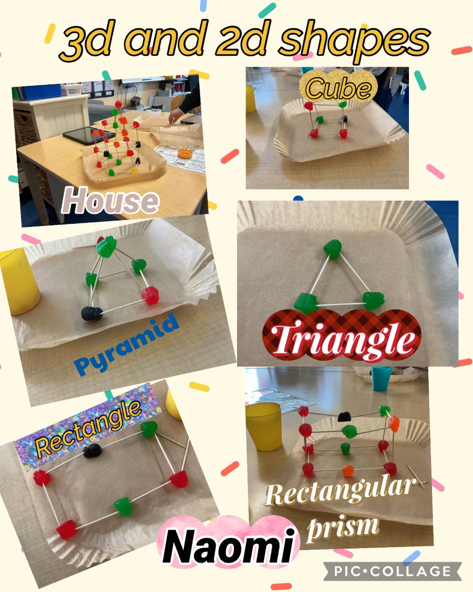 Naomi's 3d & 2d poster