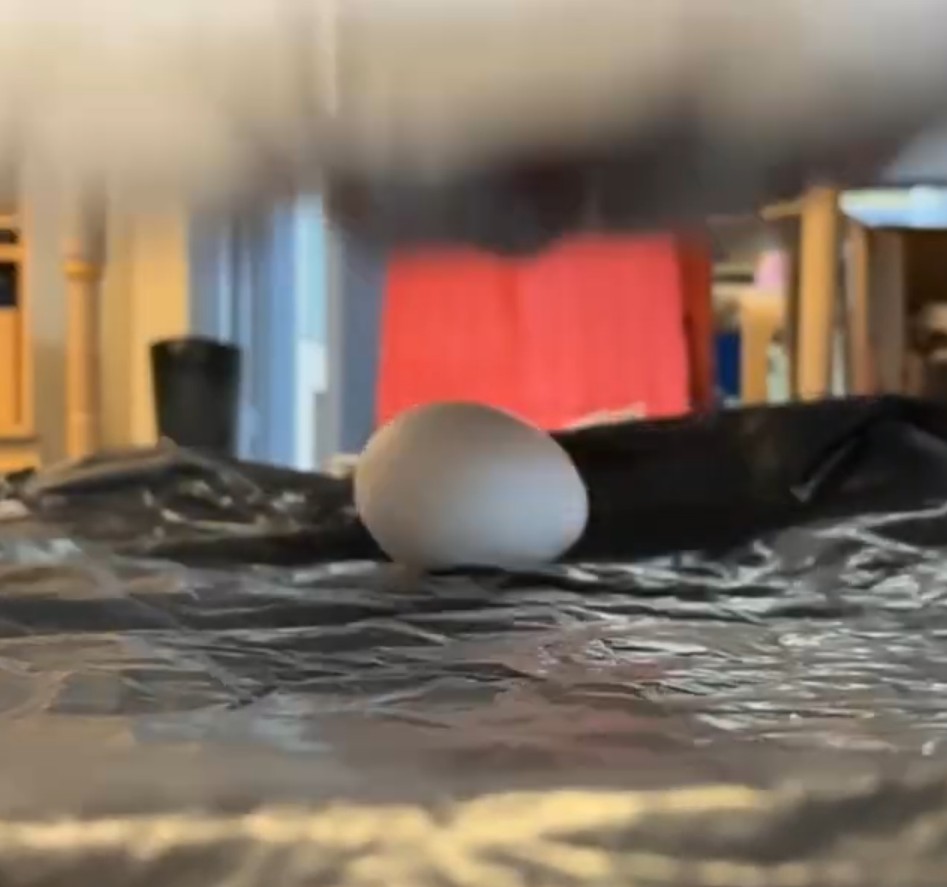 Rube Goldberg machines, 2025