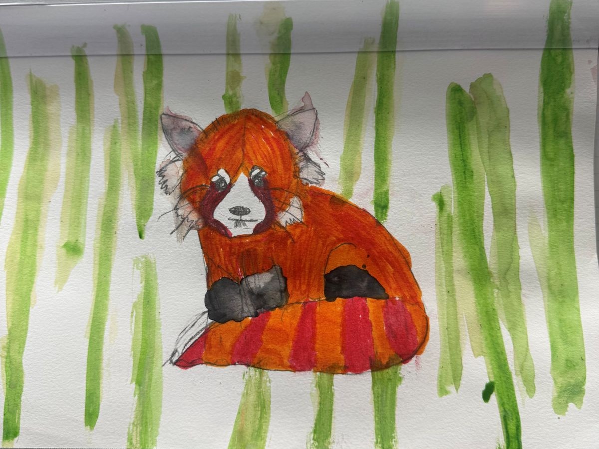 Endangered and extinct animals